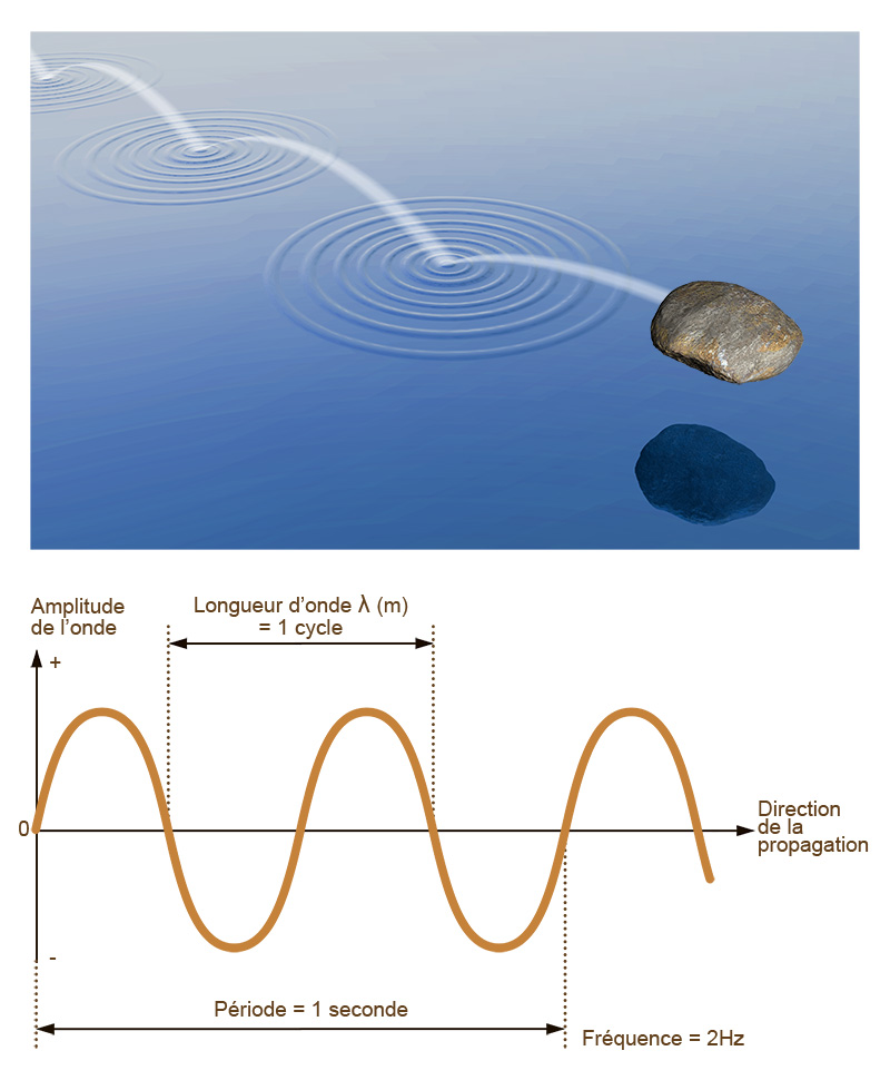 Représentation schématique d'une onde sismique (© IPGP/David Ducros).